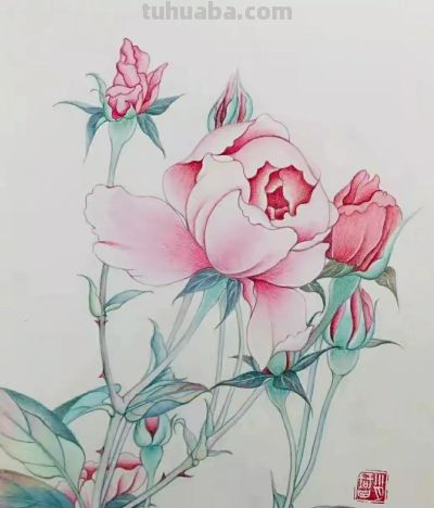 彩铅画（十九） - 图画吧TUHUABA