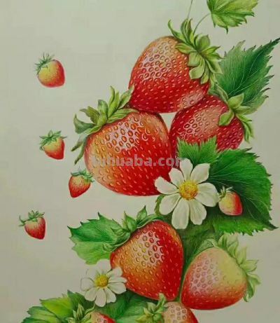 彩铅画（十八） - 图画吧TUHUABA