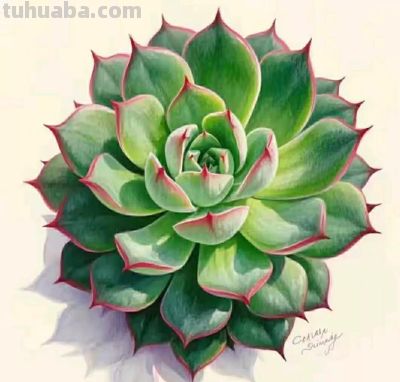 彩铅画（十八） - 图画吧TUHUABA