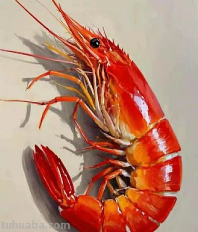 彩铅画（十八） - 图画吧TUHUABA