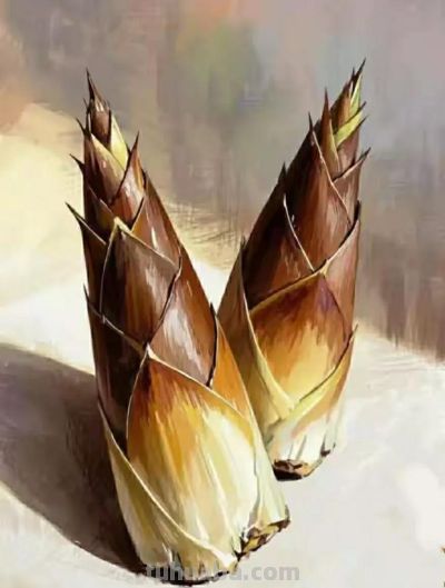 彩铅画（十八） - 图画吧TUHUABA