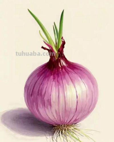 彩铅画（十六） - 图画吧TUHUABA