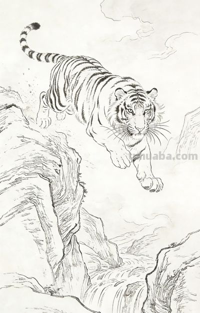 笔下生威！一组老虎素描线稿，把山林之王的霸气藏进线条里 - 图画吧TUHUABA