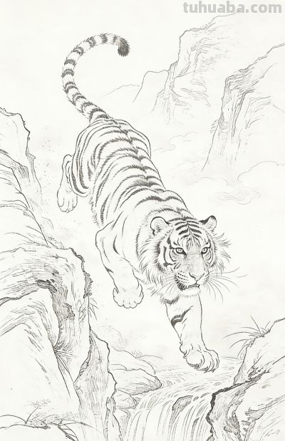 笔下生威！一组老虎素描线稿，把山林之王的霸气藏进线条里 - 图画吧TUHUABA