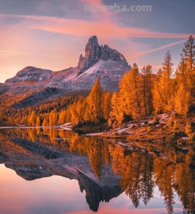 想拍好秋天的色彩，试一试这4种色调搭配 - 图画吧TUHUABA