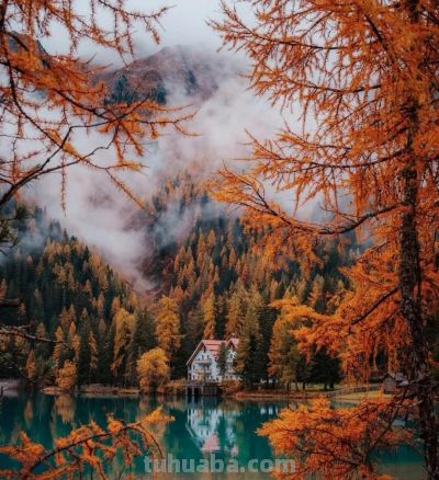 想拍好秋天的色彩，试一试这4种色调搭配 - 图画吧TUHUABA