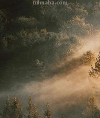 想拍好秋天的色彩，试一试这4种色调搭配 - 图画吧TUHUABA