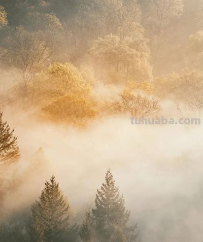 想拍好秋天的色彩，试一试这4种色调搭配 - 图画吧TUHUABA