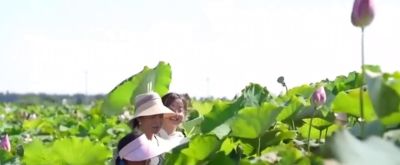 梦幻水彩丛林，自然之美尽收眼底！ - 图画吧TUHUABA