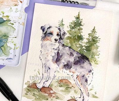 水彩小动物 - 今日头条