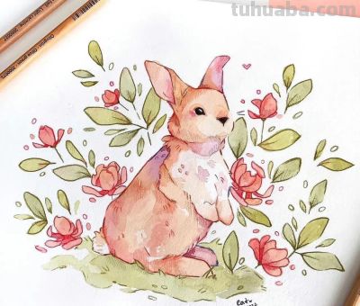 水彩小动物 - 图画吧TUHUABA