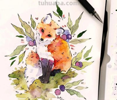 水彩小动物 - 图画吧TUHUABA