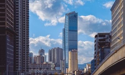 速写昆明遇见鸥！元旦滇池畔，画里藏着昆明的温柔跨年！ - 图画吧TUHUABA