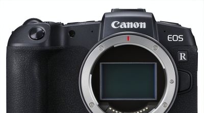 2026年野生动物摄影入门推荐6款首选相机 - 图画吧TUHUABA