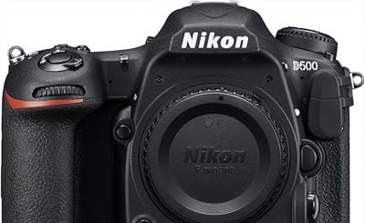 2026年野生动物摄影入门推荐6款首选相机 - 图画吧TUHUABA