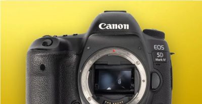 2026年野生动物摄影入门推荐6款首选相机 - 图画吧TUHUABA