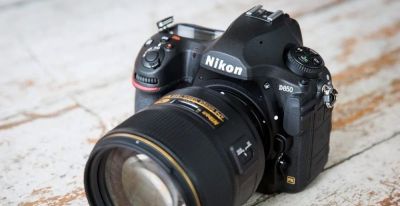 2026年野生动物摄影入门推荐6款首选相机 - 图画吧TUHUABA