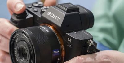 2026年野生动物摄影入门推荐6款首选相机 - 图画吧TUHUABA