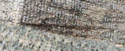 胡萝卜家庭种植，5-7天全部出苗，这样种植就可以！ - 图画吧TUHUABA