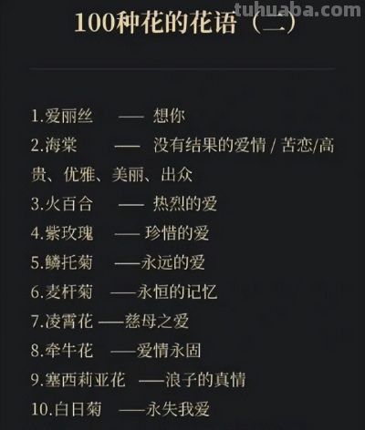 100句花语中有你喜欢的吗 ​​​ - 今日头条