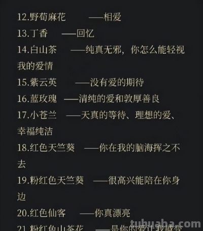 100句花语中有你喜欢的吗 - 今日头条 100句花语中有你喜欢的吗 - 图画吧TUHUABA