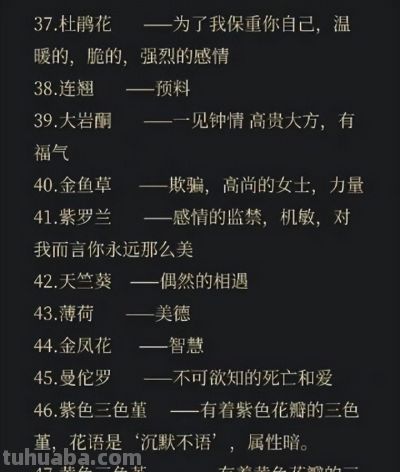 100句花语中有你喜欢的吗 - 今日头条 100句花语中有你喜欢的吗 - 图画吧TUHUABA