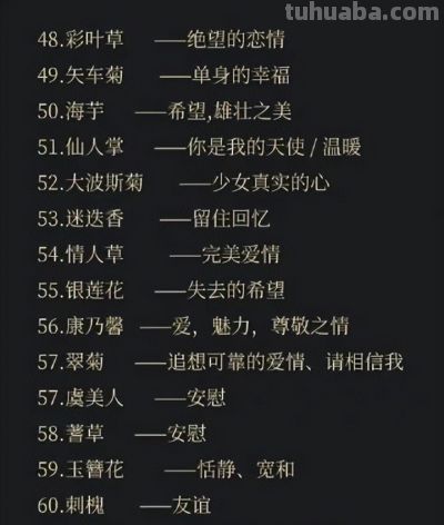 100句花语中有你喜欢的吗 - 今日头条 100句花语中有你喜欢的吗 - 图画吧TUHUABA