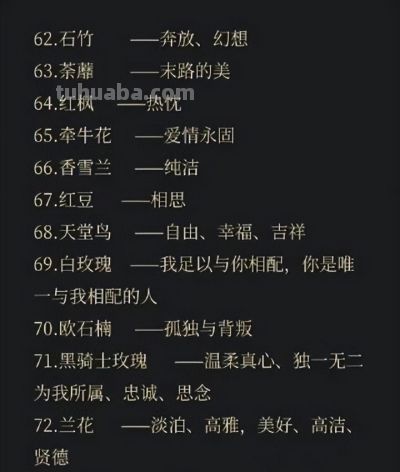 100句花语中有你喜欢的吗 - 今日头条 100句花语中有你喜欢的吗 - 图画吧TUHUABA