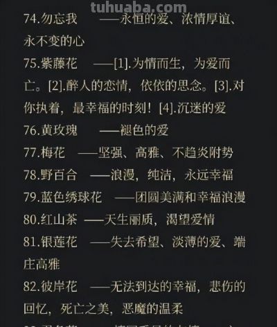 100句花语中有你喜欢的吗 - 今日头条 100句花语中有你喜欢的吗 - 图画吧TUHUABA