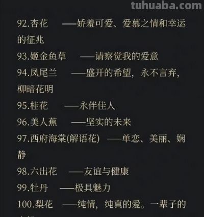 100句花语中有你喜欢的吗 - 今日头条 100句花语中有你喜欢的吗 - 图画吧TUHUABA