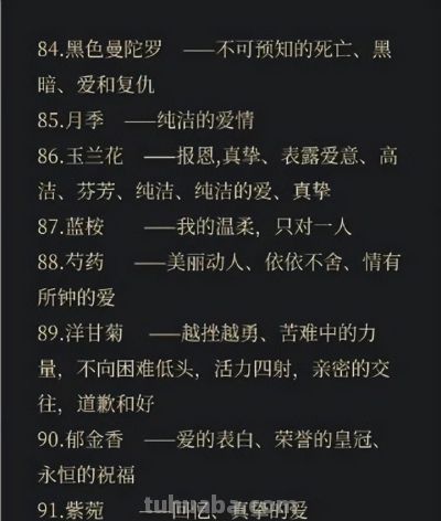 100句花语中有你喜欢的吗 - 今日头条 100句花语中有你喜欢的吗 - 图画吧TUHUABA