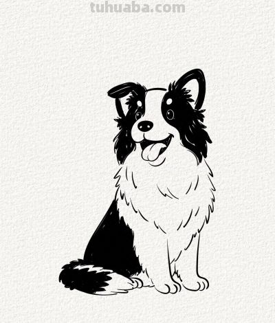 涂鸦简笔画分享边牧狗狗 - 今日头条
