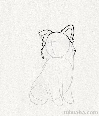 涂鸦简笔画分享边牧狗狗 - 图画吧TUHUABA