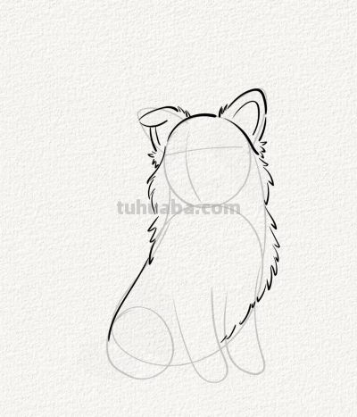 涂鸦简笔画分享边牧狗狗 - 图画吧TUHUABA