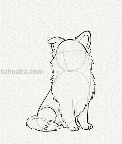 涂鸦简笔画分享边牧狗狗 - 图画吧TUHUABA