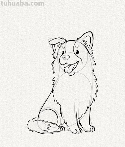 涂鸦简笔画分享边牧狗狗 - 图画吧TUHUABA