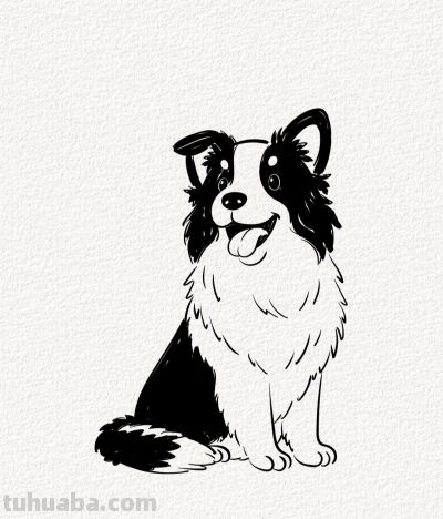 涂鸦简笔画分享边牧狗狗 - 图画吧TUHUABA