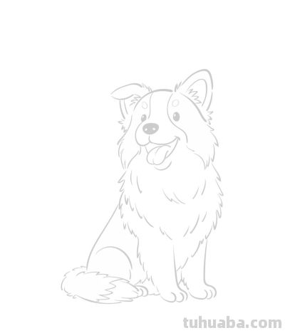 涂鸦简笔画分享边牧狗狗 - 图画吧TUHUABA