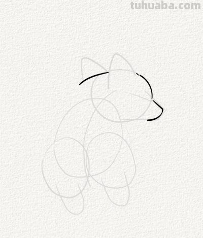 贪睡的小柯基 萌到心坎里丨涂鸦简笔画分享 - 图画吧TUHUABA