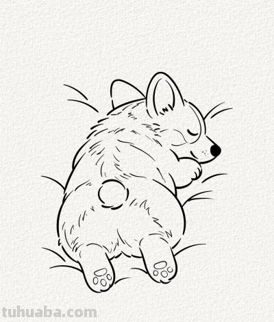 贪睡的小柯基 萌到心坎里丨涂鸦简笔画分享 - 今日头条