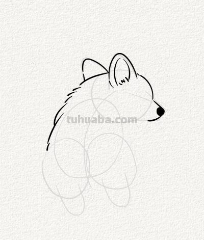 贪睡的小柯基 萌到心坎里丨涂鸦简笔画分享 - 图画吧TUHUABA