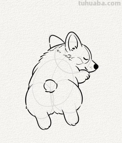 贪睡的小柯基 萌到心坎里丨涂鸦简笔画分享 - 图画吧TUHUABA