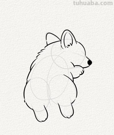 贪睡的小柯基 萌到心坎里丨涂鸦简笔画分享 - 图画吧TUHUABA
