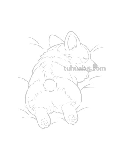 贪睡的小柯基 萌到心坎里丨涂鸦简笔画分享 - 图画吧TUHUABA