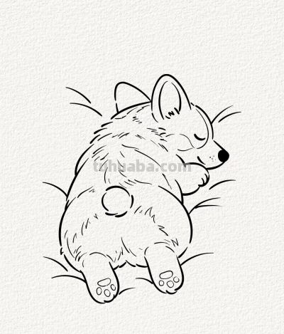 贪睡的小柯基 萌到心坎里丨涂鸦简笔画分享 - 图画吧TUHUABA