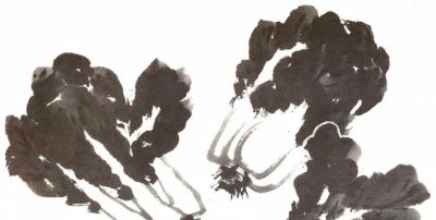 轻松学画写意蔬菜：白菜、辣椒画法 - 图画吧TUHUABA