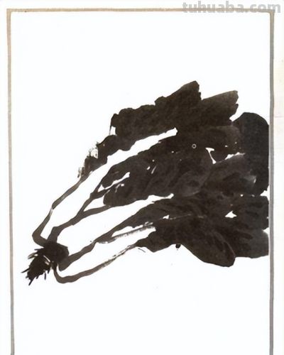 轻松学画写意蔬菜：白菜、辣椒画法 - 图画吧TUHUABA