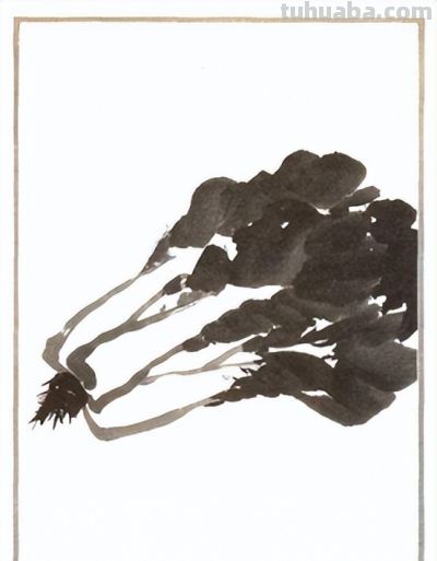 轻松学画写意蔬菜：白菜、辣椒画法 - 图画吧TUHUABA