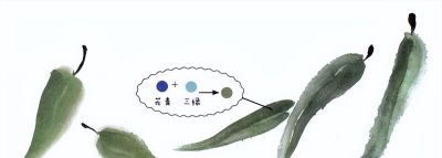 轻松学画写意蔬菜：白菜、辣椒画法 - 图画吧TUHUABA