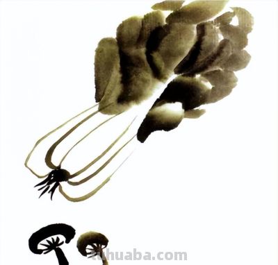 轻松学画写意蔬菜：白菜、辣椒画法 - 图画吧TUHUABA